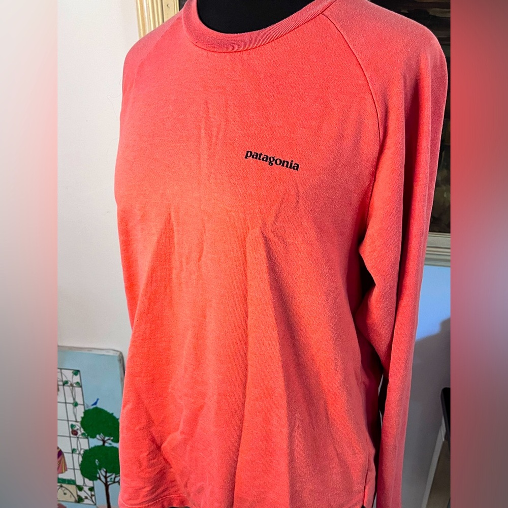 Patagonia P-6 logo lightweight sweatshirt